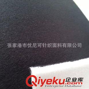 滌氨針織面料 供應(yīng)復(fù)合布 海綿復(fù)合針織布 滌氨磨絨布復(fù)合海綿針織布