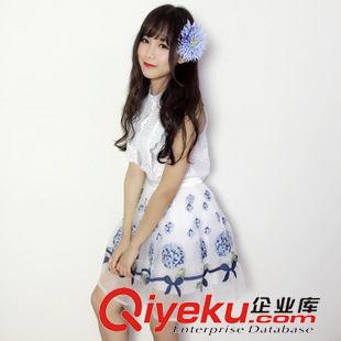 5.25 新款 2205 一件代發(fā)實(shí)拍純棉上衣+繡花半裙套裝女式時(shí)尚休閑短裙套裝