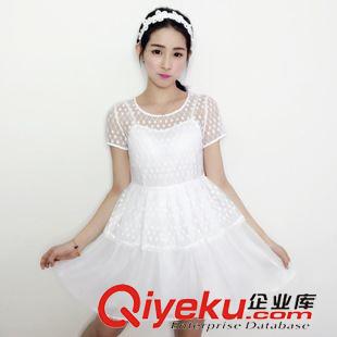 5.15 新款 8261韓國東大門代購實拍新款韓版波點植絨蕾絲網紗假兩件套連衣裙原始圖片2