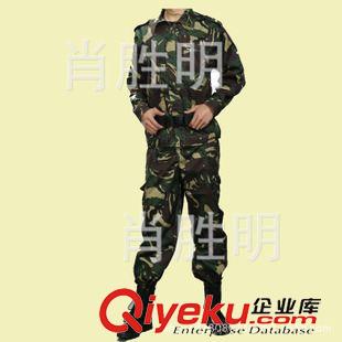 07常服大檐帽 優(yōu)質(zhì)批發(fā)07士兵軍官款大檐帽子 陸?？粘Ｃ?新式大沿大蓋帽 廠價