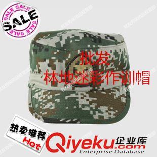 07常服大檐帽 優(yōu)質(zhì)批發(fā)07士兵軍官款大檐帽子 陸?？粘Ｃ?新式大沿大蓋帽 廠價