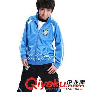 經(jīng)典運動 青少年運動套裝男大童套裝童裝秋裝2014兒童運動服原始圖片2