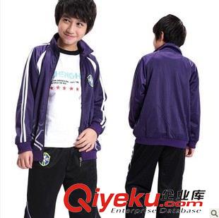 經(jīng)典運動 青少年運動套裝男大童套裝童裝秋裝2014兒童運動服原始圖片3
