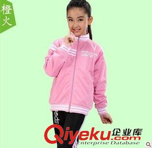 經(jīng)典運(yùn)動(dòng) 女童裝套裝2013春秋裝女童運(yùn)動(dòng)套裝兒童運(yùn)動(dòng)服兩件套長(zhǎng)褲長(zhǎng)袖開(kāi)衫原始圖片2
