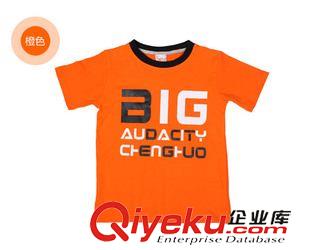 休閑運(yùn)動(dòng) 夏裝衣服大童T恤男童短袖純棉小孩衣服品牌童裝寬松原始圖片2