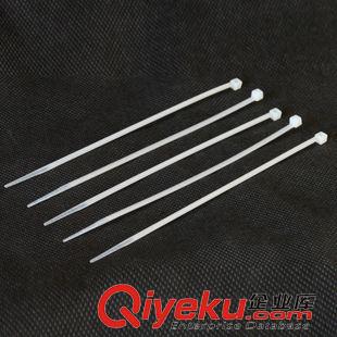 碼表 ROCKBROS尼龍扎帶4*250mm扎線束線帶自鎖式便攜捆碼表扎帶束線管原始圖片2