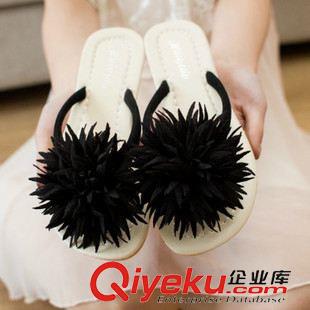 2015年5月{dy}部分新款 夏季山茶花人字拖女平底孕婦涼拖鞋夾趾女士拖鞋沙灘學(xué)生鞋批發(fā)