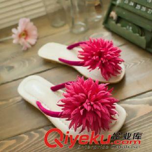 2015年5月{dy}部分新款 夏季山茶花人字拖女平底孕婦涼拖鞋夾趾女士拖鞋沙灘學(xué)生鞋批發(fā)