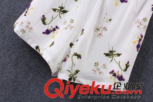 2015年7月1上新 2015夏季女裝新款   歐美風休閑時尚印花吊帶連體短褲原始圖片3
