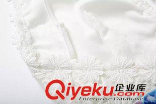2015年4月16上新 2015夏季女裝新款  歐美風休閑時尚數(shù)碼印花蕾絲花邊連衣裙原始圖片2