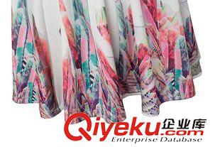 2015年4月15上新 2015夏季女裝新款  歐美風(fēng)休閑時尚定位花后V領(lǐng)大擺裙原始圖片3