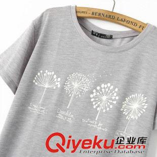 2015年4月10上新 2015夏季女裝新款  歐美風(fēng)休閑時(shí)尚圓領(lǐng)短袖三色蒲公英T恤原始圖片2