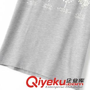 2015年4月10上新 2015夏季女裝新款  歐美風(fēng)休閑時(shí)尚圓領(lǐng)短袖三色蒲公英T恤原始圖片3
