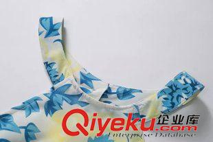 2015年4月9上新 歐美風(fēng)2015夏季女裝新款  休閑時尚掛脖領(lǐng)漏背印花連體褲原始圖片2
