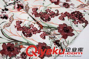 2015年4月9上新 2015春季女裝新款  歐美風(fēng)休閑時尚圓領(lǐng)長袖花草印花連衣裙原始圖片3