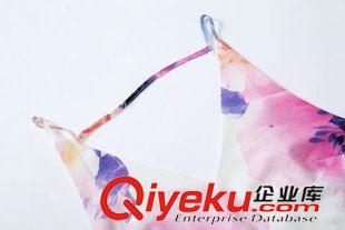 2015年4月9上新 2015夏季女裝新款  歐美風(fēng)休閑時(shí)尚吊帶印花漏背連衣裙原始圖片2