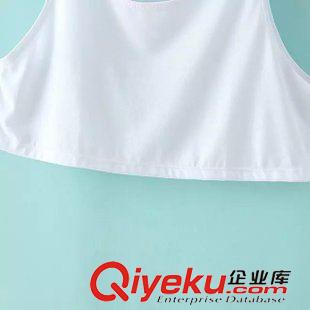 背心 2015夏季女裝新款   歐美風休閑時尚熒光色均碼寬松短背心原始圖片3