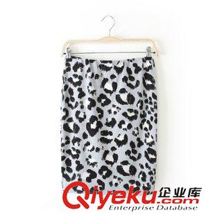 半身裙 2014夏裝新款  歐美風(fēng)印花蓬蓬歐根紗半身裙