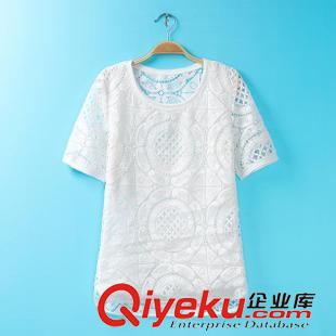 套裝 2014歐美風(fēng)夏裝新款 休閑時(shí)尚修身蕾絲鏤空長(zhǎng)裙兩件套短袖連衣裙原始圖片2