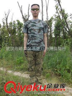 褲子、T恤 我是特種兵之火鳳凰迷彩服 軍迷服裝、學(xué)生軍訓(xùn)迷彩短袖T恤批發(fā)