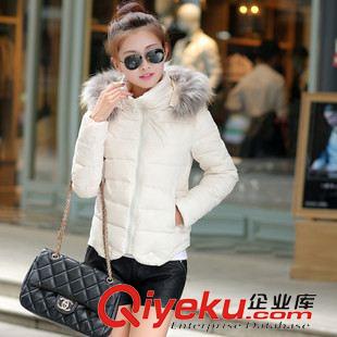 8月新款第三批 2015新款大毛領(lǐng)厚羽絨棉服女韓版短款修身外套大碼棉服女裝批發(fā)原始圖片2