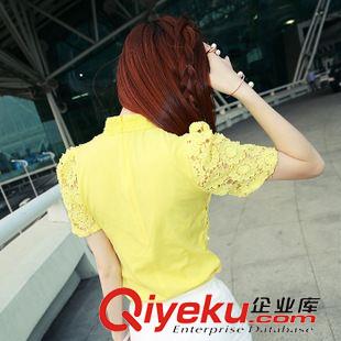未分類 2014夏裝新款 時尚潮流韓版洋氣立體鉤花修身女裝蕾絲衫原始圖片2