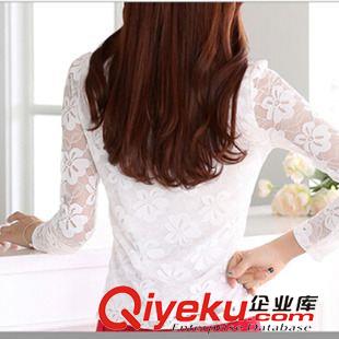 秋季打底衫 2015秋季女裝新款修身顯瘦氣質(zhì)蕾絲 大碼長袖印花打底衫原始圖片2