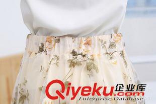 優雅裙裝 2015夏季新品韓版 碎花雪紡大擺裙女裝款長裙修身顯瘦半身裙原始圖片3