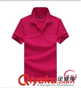 gd精品 定制純棉翻領(lǐng)短袖男女同款工作服夏季空白POLO衫印字繡花定做衣服