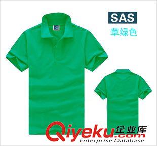 gd精品 翻領(lǐng)廣告衫班服定制 DIY短袖POLO衫gd設(shè)計(jì) 文化衫定做來(lái)圖印刷