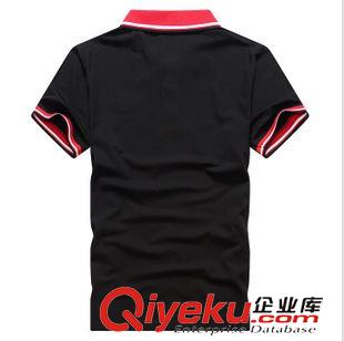 gd精品 定做純棉男式翻領(lǐng)間色領(lǐng)翻領(lǐng)POLO衫 gd精品燙畫繡花logo定制原始圖片2