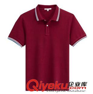 gd精品 定做男式精品領(lǐng)子異色短袖珠地網(wǎng)眼棉高爾夫polo衫 批量訂制