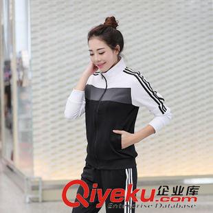 運(yùn)動休閑套裝 實拍：2015新款女士春秋休閑運(yùn)動套裝修身立領(lǐng)長袖衛(wèi)衣大碼運(yùn)動服原始圖片3