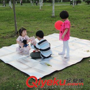 地墊地席 苔原地帶 帳篷防潮墊戶外游戲雙面鋁膜多規(guī)格便攜超輕野餐墊直銷原始圖片2