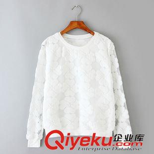 七月新款第二波 韓國東大門女裝衛(wèi)衣 刺繡長袖繡花套頭外貿(mào)衛(wèi)衣女 純棉蕾絲衛(wèi)衣