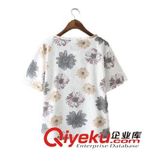 6月新款第三波 2015夏裝新款女圓領(lǐng)印花寬松短袖T恤原始圖片2
