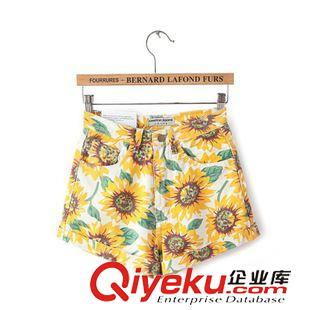 短褲/熱褲 女式短褲廠家批發(fā) 新款時(shí)尚韓版修身顯瘦純色百搭高腰女式短褲