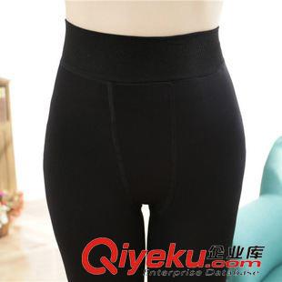 秋冬一體褲 2015秋冬款加絨加厚高密度錦綸一體褲保暖顯瘦女士打底褲一件代發原始圖片3