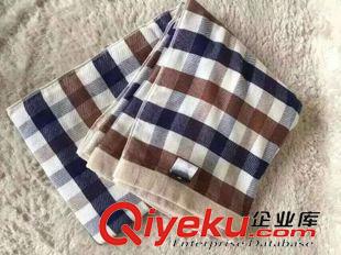 6月新品3 外貿(mào)日單純棉+棉紗超舒適毛巾被夏涼被原始圖片2