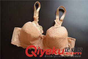 內褲 文胸 外貿 原單 黛家蕾絲文胸 性感文胸批發原始圖片3
