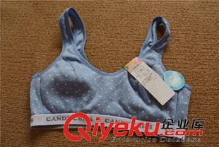 內褲 文胸 米棉原單日單少女發育文胸 中大童文胸背心式原始圖片3