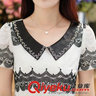 7.3 2015夏季雪紡繡花連衣裙 夏裝新品小翻領(lǐng)繡花雪紡連衣裙女原始圖片3