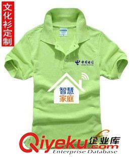吸濕排汗速干t恤 電信營業(yè)廳工作t恤衫 文化t恤衫定制廠家 男式翻領短袖t恤加工原始圖片2