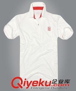 POLO衫 【生產(chǎn)廠家】訂做中超 魯能 翻領(lǐng)t恤 短袖 全棉 球迷 gdt恤定做