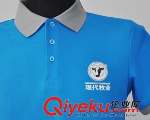 促銷(xiāo)t恤 定做休閑T恤 男式翻領(lǐng)短袖T恤衫定做 可加企業(yè)標(biāo)T恤定制廠原始圖片3