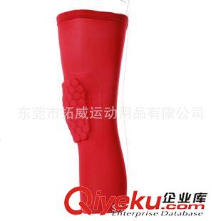 騎行腿套 zpTopwise腿套  廠家供應  吸濕排汗  可自行DIY圖案原始圖片3