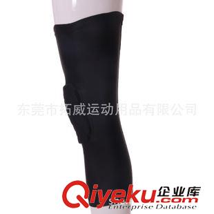 騎行腿套 運動PRO籃球護腿 蜂窩防撞護膝 高彈護具防滑長護原始圖片2