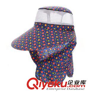 采茶帽 藝海帽子 2015韓版春夏新款女士采茶帽 大檐帽 廠(chǎng)家現(xiàn)貨批發(fā)原始圖片2