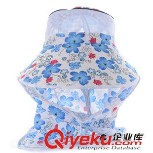 采茶帽 藝海帽子 2015韓版春夏新款女士采茶帽 大檐帽 廠(chǎng)家現(xiàn)貨批發(fā)原始圖片3