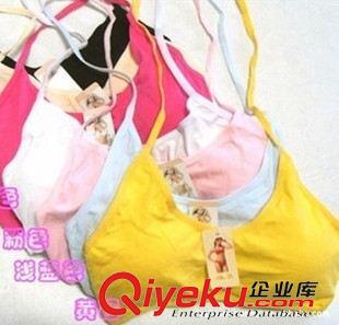 2015春夏新品 韓版性感女小吊帶掛脖 帶胸墊 純色裹胸背心 系帶抹胸 10色原始圖片2